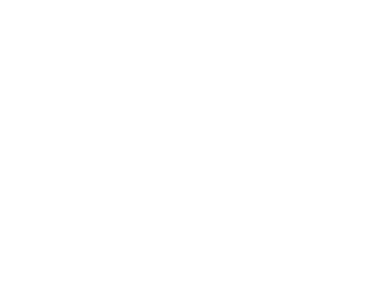 CIO Vision