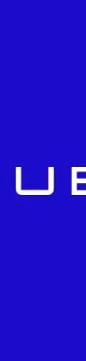 Chubb logo
