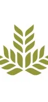 Northeast Georgia Health System logo