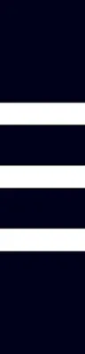 Brunswick Corporation logo