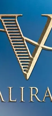 Valiram Group logo