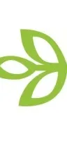 Ancestry logo