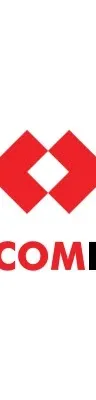 Techcombank (TCB) logo