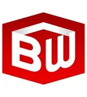 Brainworks logo