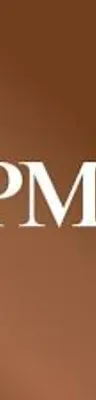 JPMorgan Chase & Co. logo